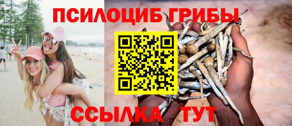 Псилоцибиновые грибы Psilocybe Учалы