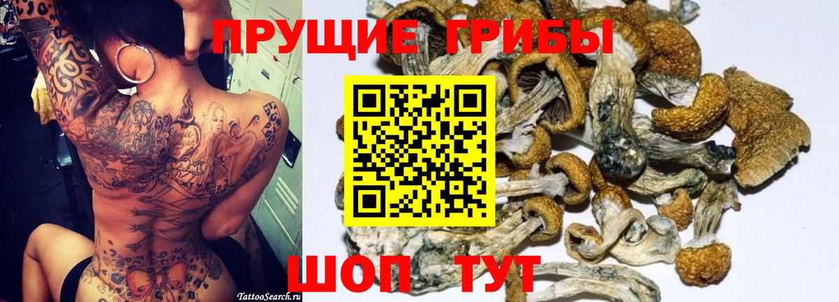 наркотики  Галлюциногенные грибы прущие грибы  Вход с VPN  Учалы 