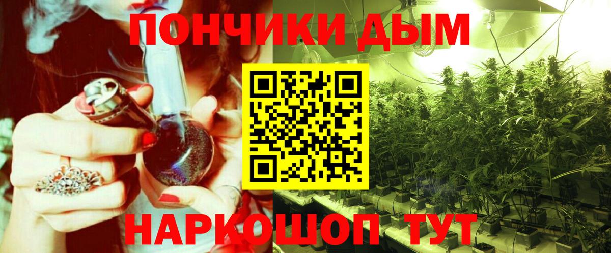 Конопля Bruce Banner  Конопля семена  Вход с VPN  Марихуана гибрид  Учалы  Канабис Amnesia 